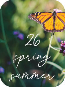 26 Spring Summer
