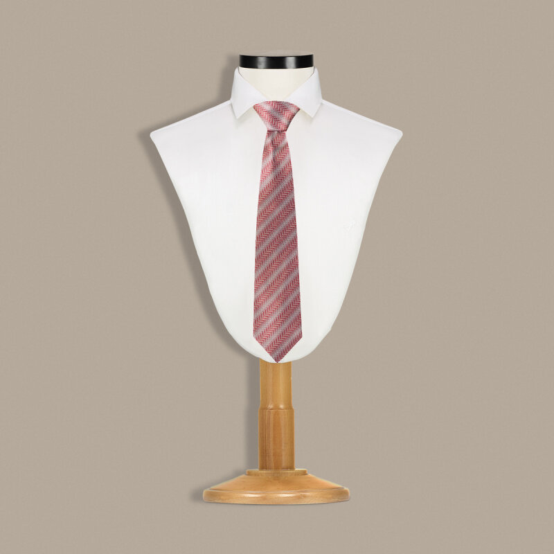 Çok Renkli Çizgili Kravat C160 - SARAR