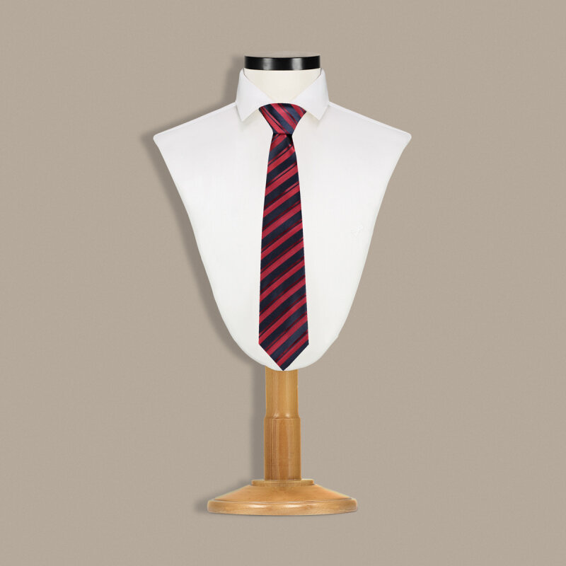 Çok Renkli Çizgili Kravat C173 