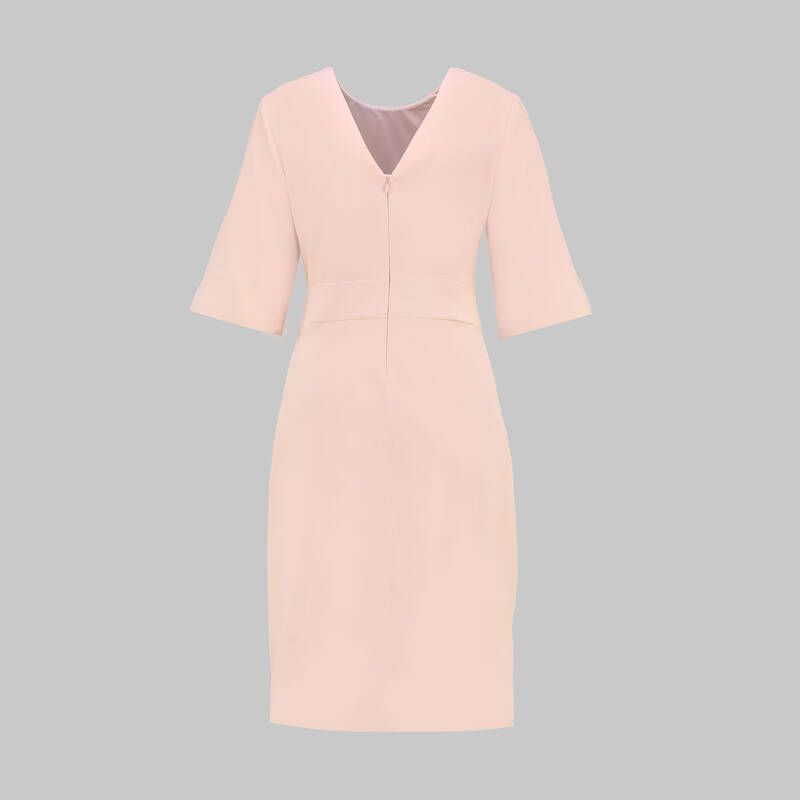 Daria Pudra Elbise - 2