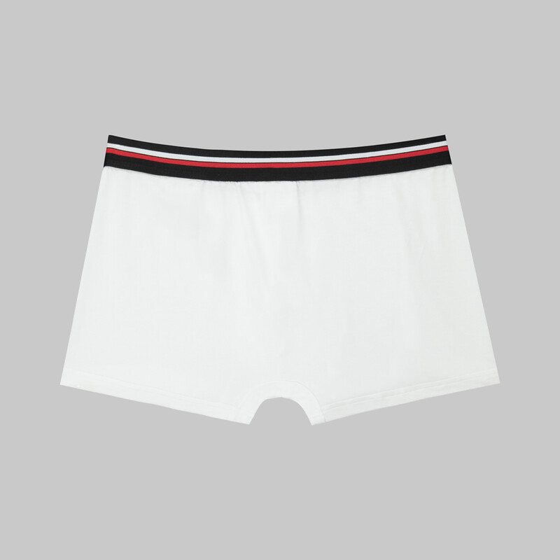 İkili Beyaz Boxer - INTERVIEW