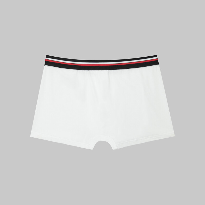 Beyaz İkili Boxer - INTERVIEW