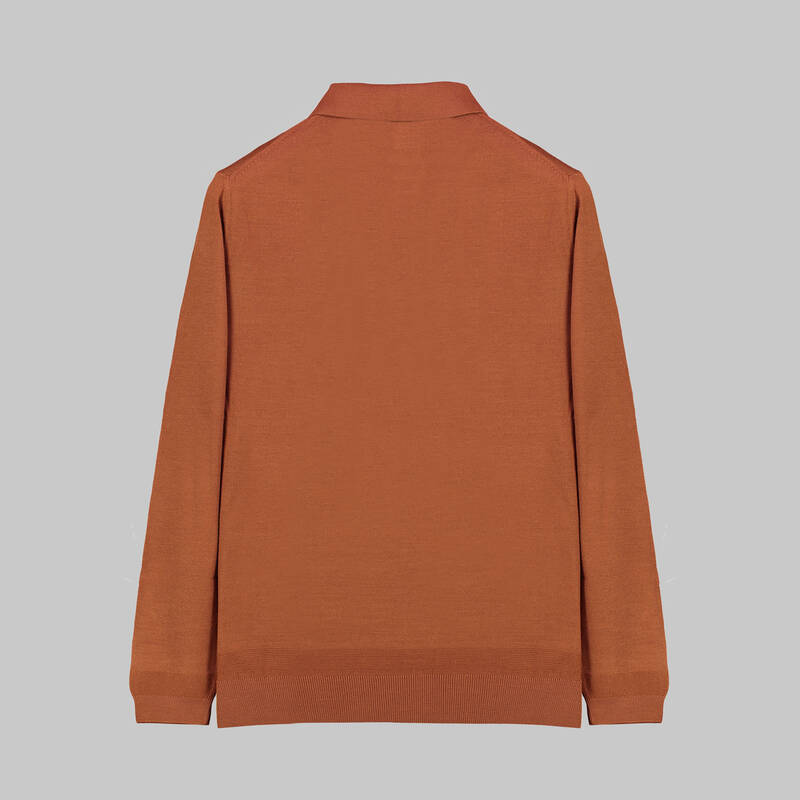 Polo Yaka Erkek Kiremit Triko - 2